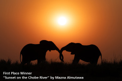 191-Sunset-on-the-Chobe-River2